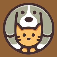 布谷加速器破解版最新版